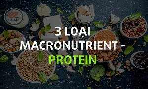 Protein và vai trò của nó đối với cơ thể về mặt thể lực và hình thể