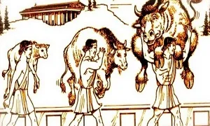 Quá tải tiến bộ - Progressive Overload Principle là gì và cách sử dụng nó thuần thục