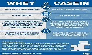 Quan niệm về Protein nhanh và Protein chậm có thật sự đúng như bạn nghĩ