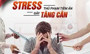 Stress - Thủ phạm tiềm ẩn gây béo phì