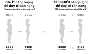 Sự khác biệt trong chuyển hóa của từng người