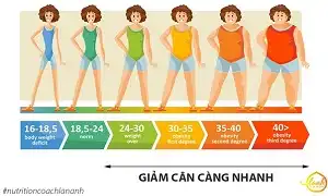 Sự liên quan giữa chỉ số BMI và giảm cân giảm mỡ