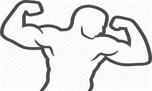 Sự ổn định của cơ thể và tầm quan trọng của nó với bạn