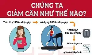 Tác động kép lên hệ năng lượng để giảm cân an toàn nhanh chóng