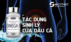 Tác dụng sinh lý tuyệt vời của Dầu cá hay Omega 3