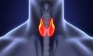 Tại sao ăn ít vận động nhiều chưa đủ để giúp bạn giảm cân