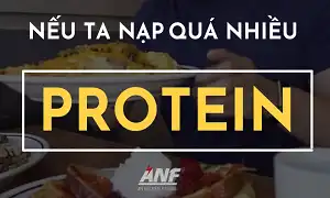 Tại sao ăn quá nhiều Protein lại không tốt