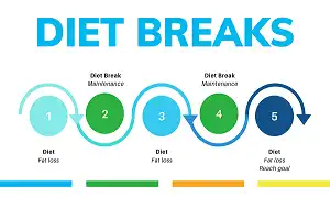 Tại sao bạn bị chững cân và Diet Break là gì