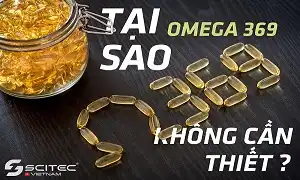 Tại sao Omega 3 6 9 lại không cần thiết