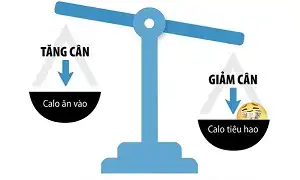 Tạo thâm hụt Calo để giảm cân giảm mỡ ngoài việc nhịn ăn