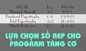 Tập bao nhiêu REP cho 1 bài tạ là đủ hay với người khác