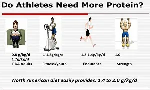 Tập lâu năm không cần lượng Protein khủng như bạn nghĩ đâu