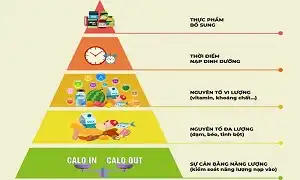 Tháp ưu tiên trong dinh dưỡng