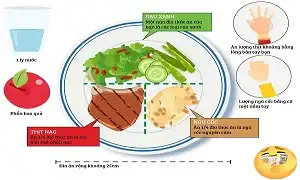 Đĩa thức ăn tiêu chuẩn giúp bạn hạn chế Calo nạp vào để giảm cân giảm mỡ tốt hơn