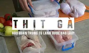 Thịt gà đông lạnh để được bao lâu là tốt nhất