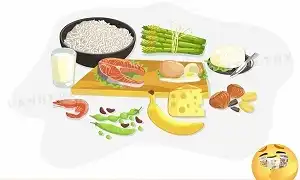 Lựa chọn thức ăn giàu Protein sẽ giúp bạn giảm cân hiệu quả hơn