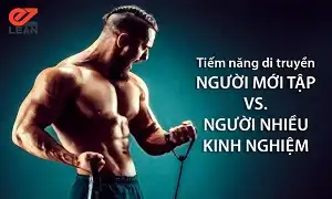 Tiềm năng phát triển của người chưa tập và người tập nhiều kinh nghiệm