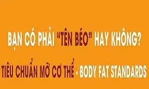 Tiêu chuẩn mỡ cơ thể