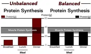 Tối ưu hoá cơ bắp thông qua việc nạp Protein