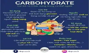 Tóm tắt nhẹ về Carbohydrate