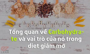 Tổng quan về Carbohydrate và vai trò của nó trong giảm mỡ
