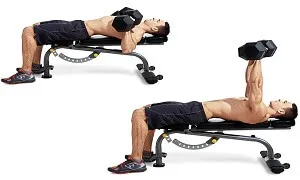 Vài dòng về dumbbell chest press để hạn chế chấn thương