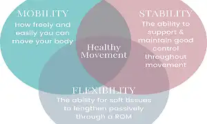 Vài dòng về Mobility, Stability, Flexibility và Extensibility
