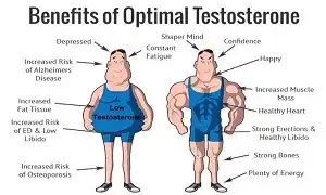 Vài dòng về Testosterone