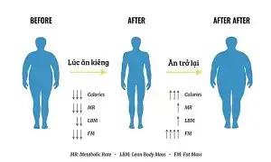 Vì sao bạn lại mập hơn sau khi ăn kiêng
