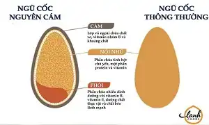 Vì sao bạn nên lựa chọn ngũ cốc nguyên cám