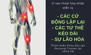 Vì sao khớp lại bị thoái hóa khớp