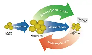 Vòng luẩn quẩn khi giảm mỡ