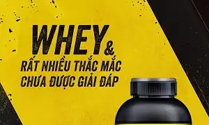 Whey và nhiều thắc mắc chưa được giải đáp