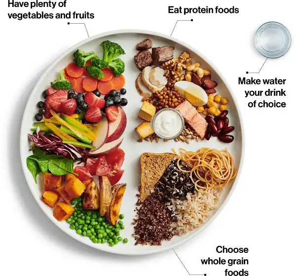 1 cách chia thức ăn trong chế độ tăng cơ giảm mỡ