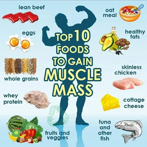10 loại thực phẩm hỗ trợ tăng cơ tốt nhất 10 loại thực phẩm hỗ trợ tăng cơ tốt nhất