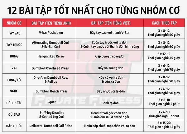 12 bài tập tốt nhất cho từng nhóm cơ
