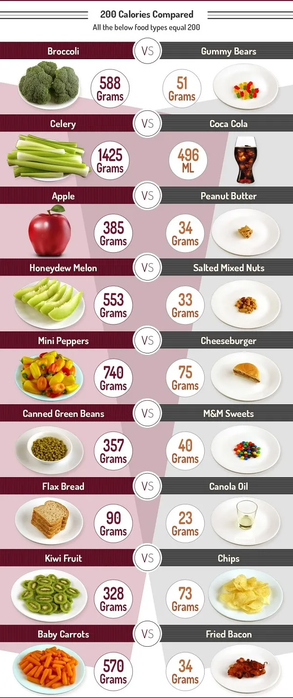 200 Calo từ 1 số món ăn cung cấp 200 Calo từ 1 số món ăn cung cấp