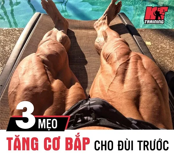 3 mẹo tăng cơ bắp cực nhanh cho đùi trước