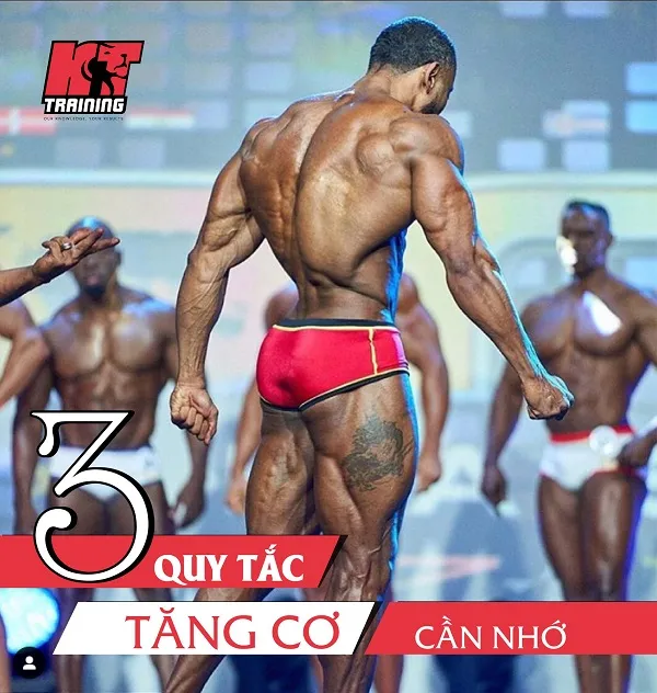 3 quy tắc cần nhớ để phát triển tối ưu cơ bắp 3 quy tắc cần nhớ để phát triển tối ưu cơ bắp