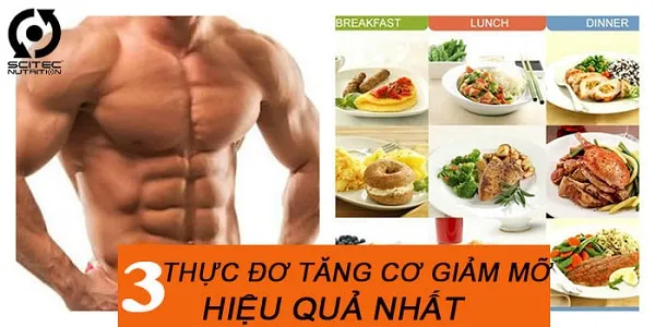 3 thực đơn tăng cơ giảm mỡ hiệu quả dễ làm