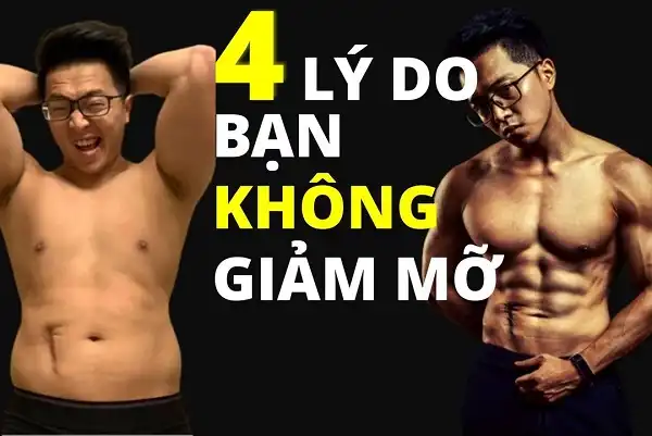 4 lý do bạn mãi không giảm mỡ