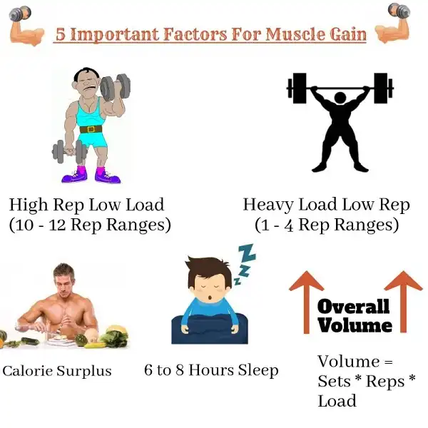 5 công thức để tập luyện cải thiện tăng cơ bắp