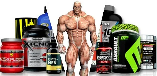 5 loại Supplements hàng đầu mà ai cũng nên dùng 5 loại Supplements hàng đầu mà ai cũng nên dùng