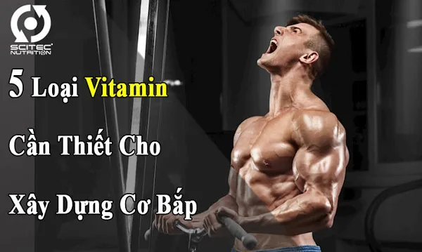 5 loại Vitamin cần thiết cho xây dựng cơ bắp