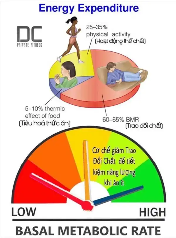 Ăn ít và hít khí trời vẫn béo là do bạn chưa nắm rõ kiến thức giảm béo Ăn ít và hít khí trời vẫn béo là do bạn chưa nắm rõ kiến thức giảm béo