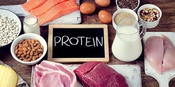 Ăn nhiều Protein không có hại gì cả vì làm gì đến mức thừa