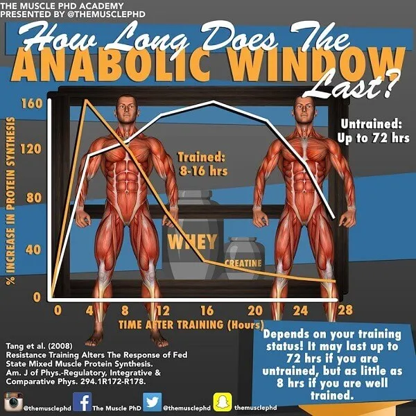 Anabolic Window của mỗi người kéo dài khác nhau Anabolic Window của mỗi người kéo dài khác nhau