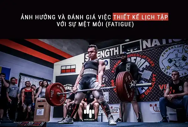 Ảnh hưởng của sự mệt mỏi đến lịch tập Ảnh hưởng của sự mệt mỏi đến lịch tập