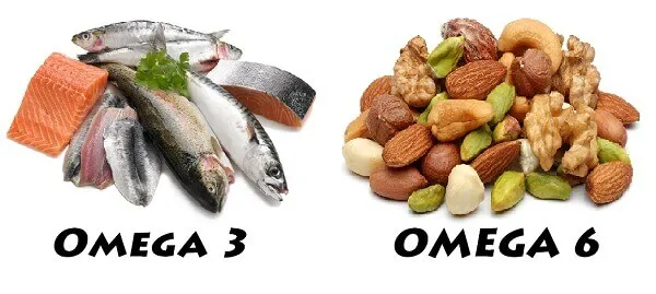 Axit béo thiết yếu như Omega 3 và Omega 6 rất quan trọng Axit béo thiết yếu như Omega 3 và Omega 6 rất quan trọng