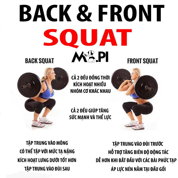 Bài nào bạn thích hơn giữa Back Squat và Front Squat Bài nào bạn thích hơn giữa Back Squat và Front Squat